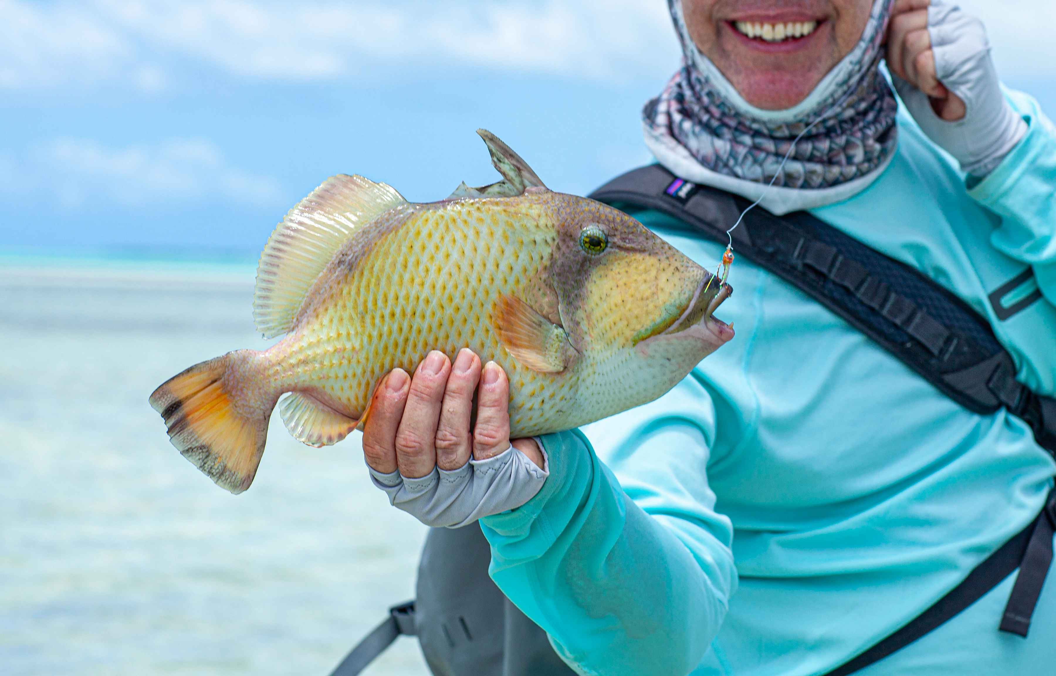 A Christmas Island triggerfish (photo: Earl Harper). triggerfish