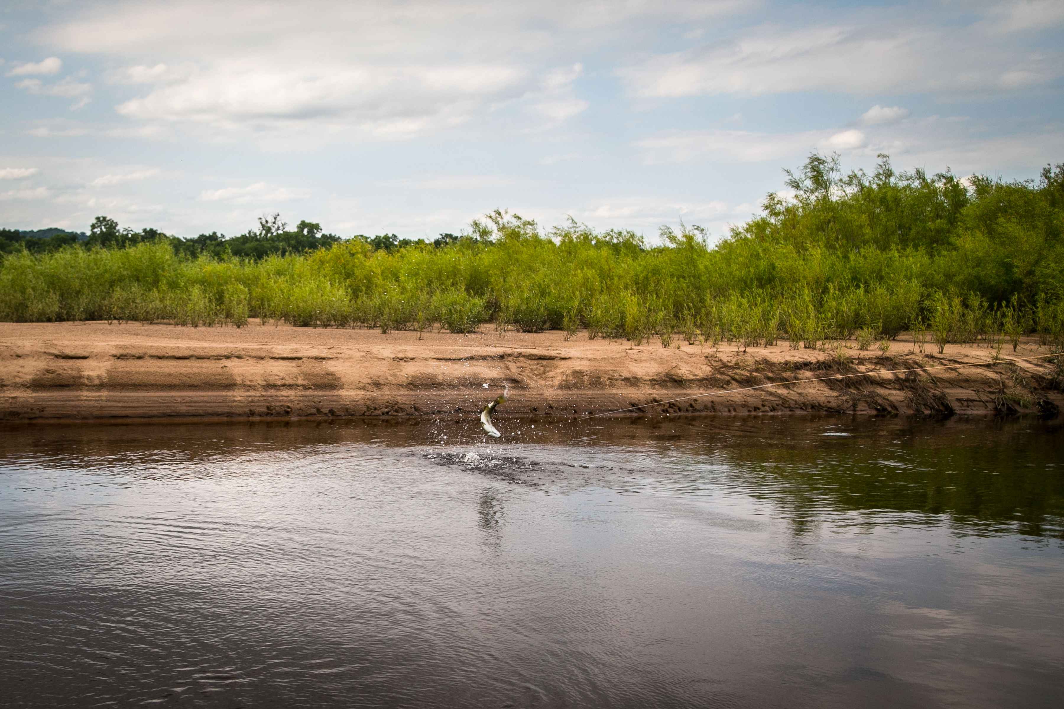 Photo: Kyle Zempel fly fishing the crash | lower wisconsin river smallmouth