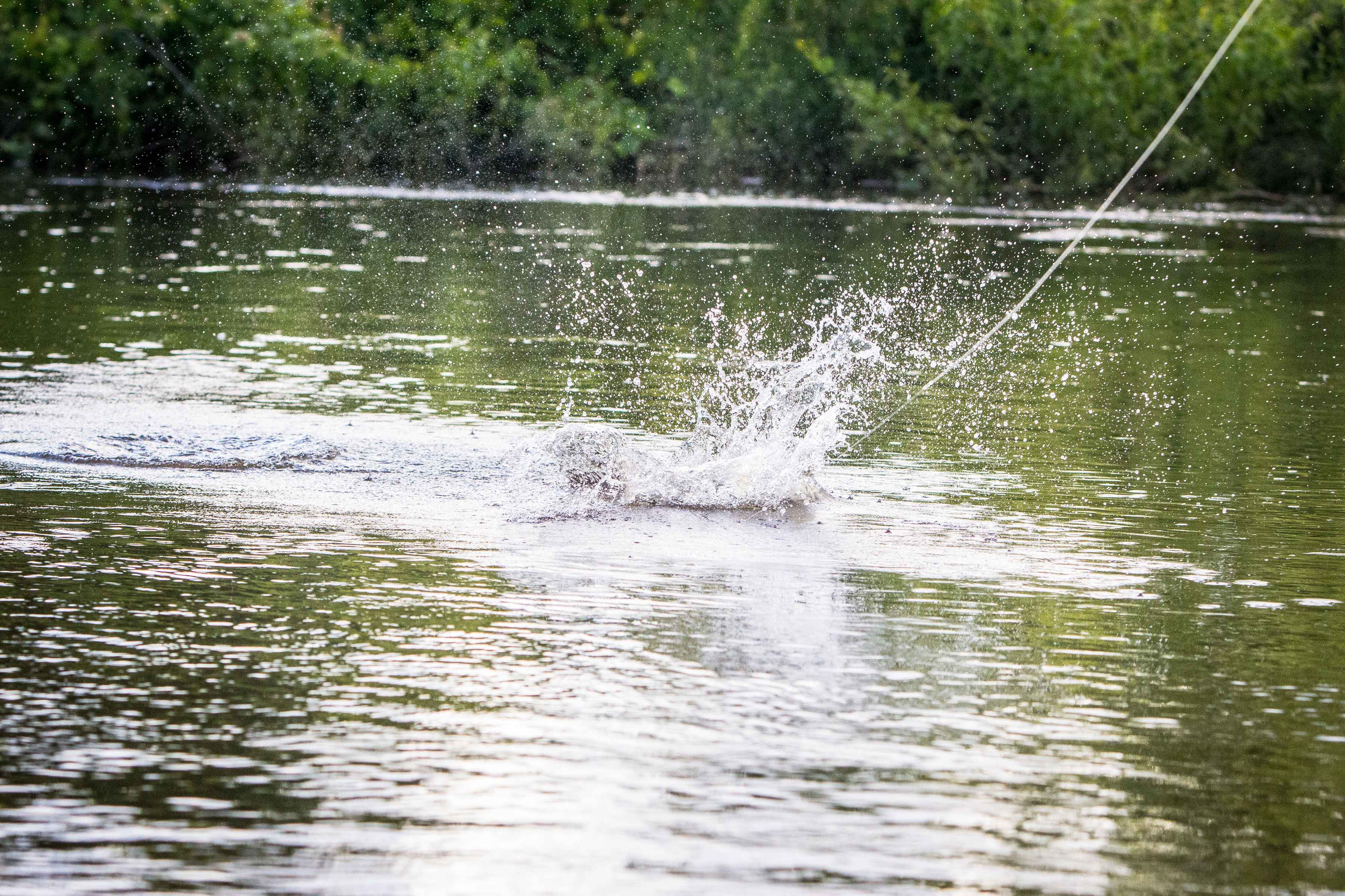 Photo: Kyle Zempel fly fishing the crash | lower wisconsin river smallmouth
