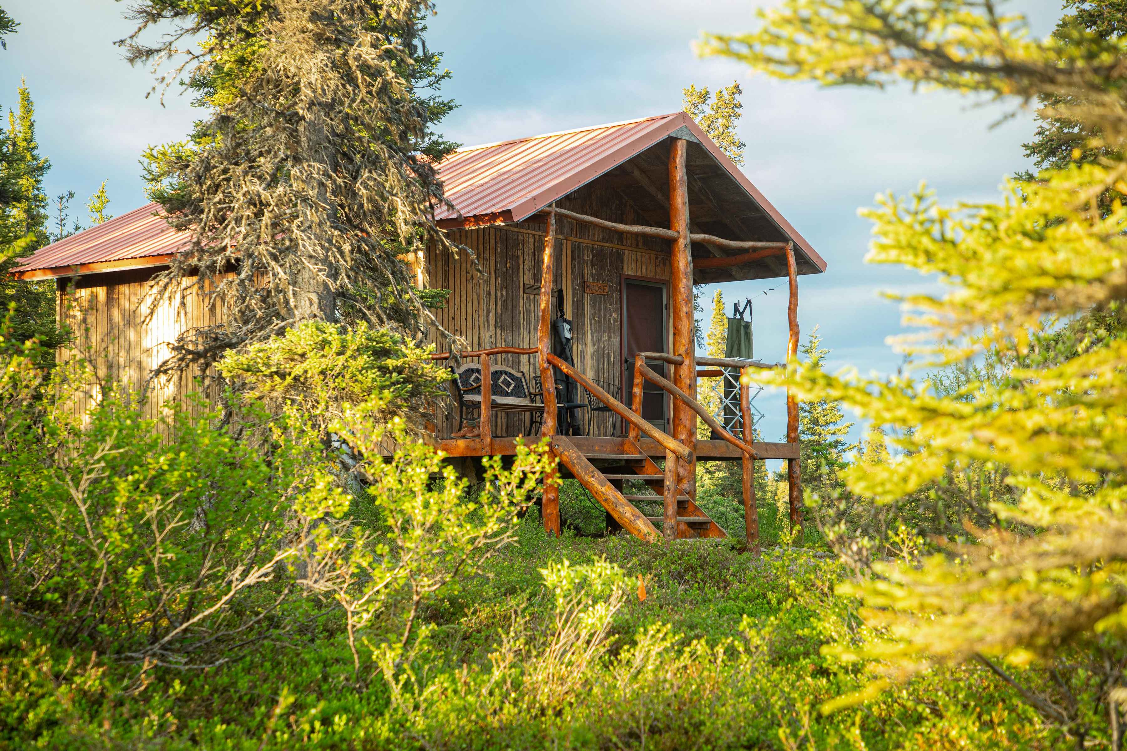 One of the guest cabins at Royal Wolf Lodge (photo: Earl Harper). One of the guest cabins at Royal Wolf Lodge