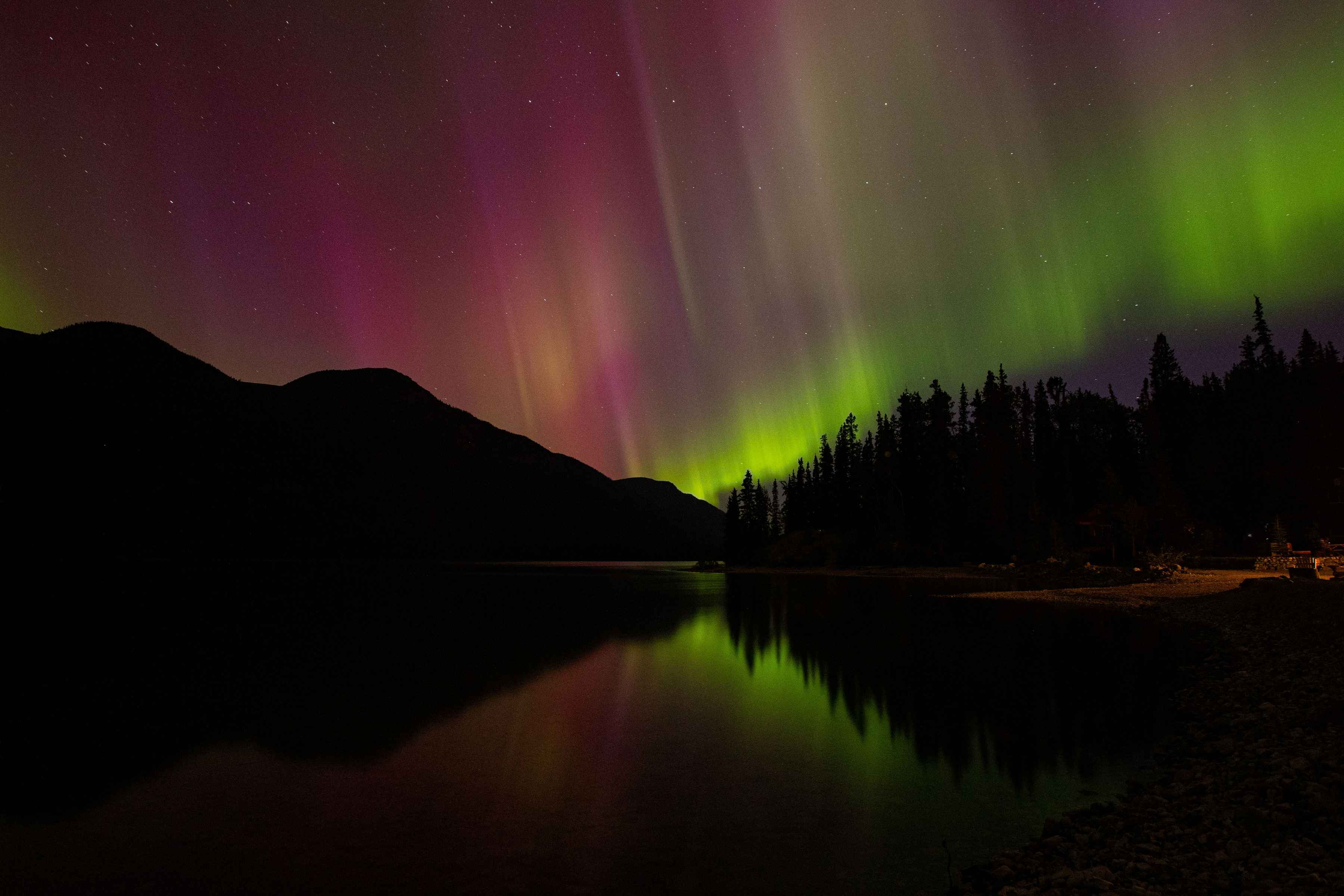 Photo: Earl Harper. fly fishing canadian rockies - northern rockies adventures