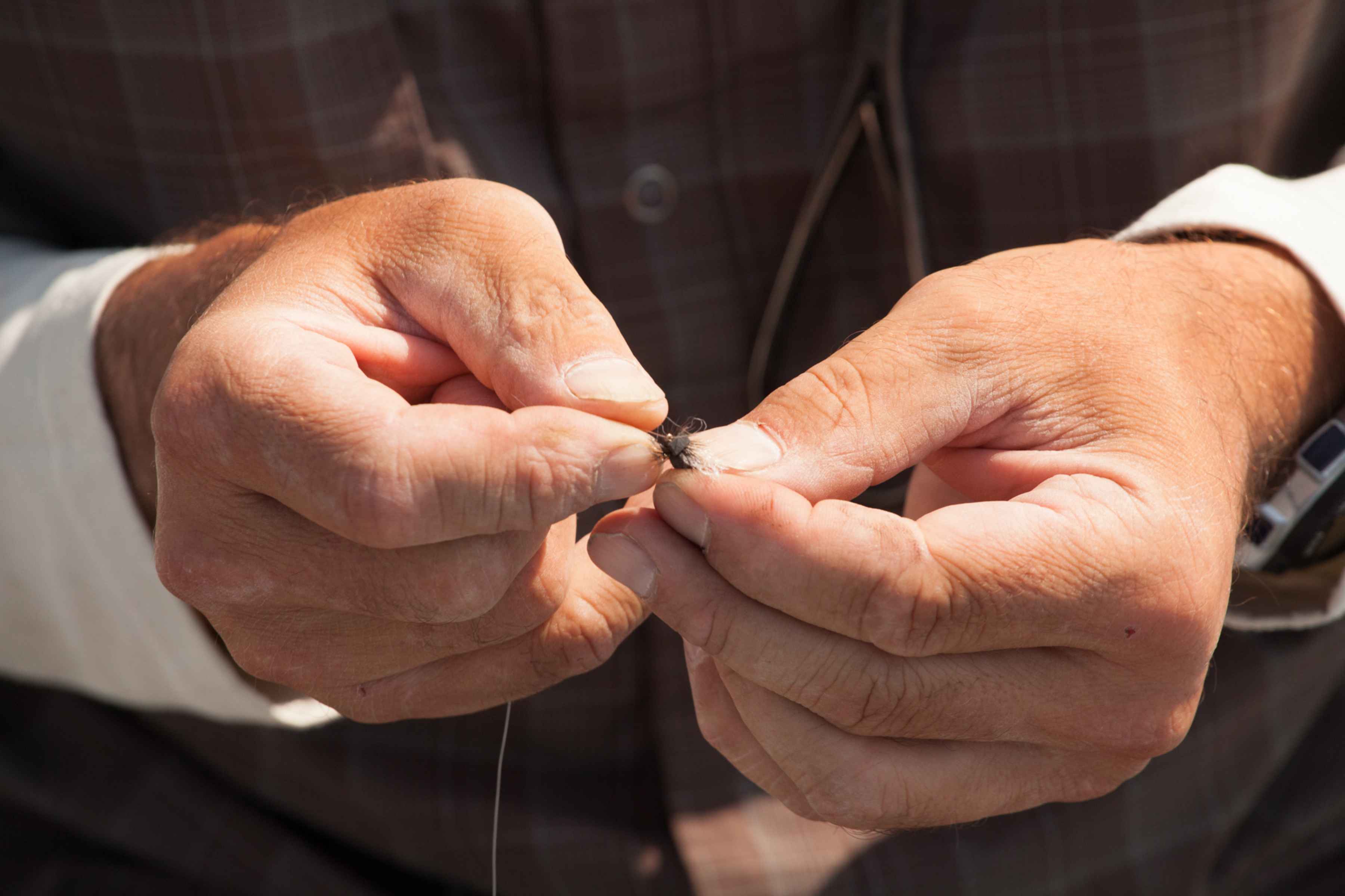 Rigging an ant (photo: Chad Shmukler). Terrestrial - Ant