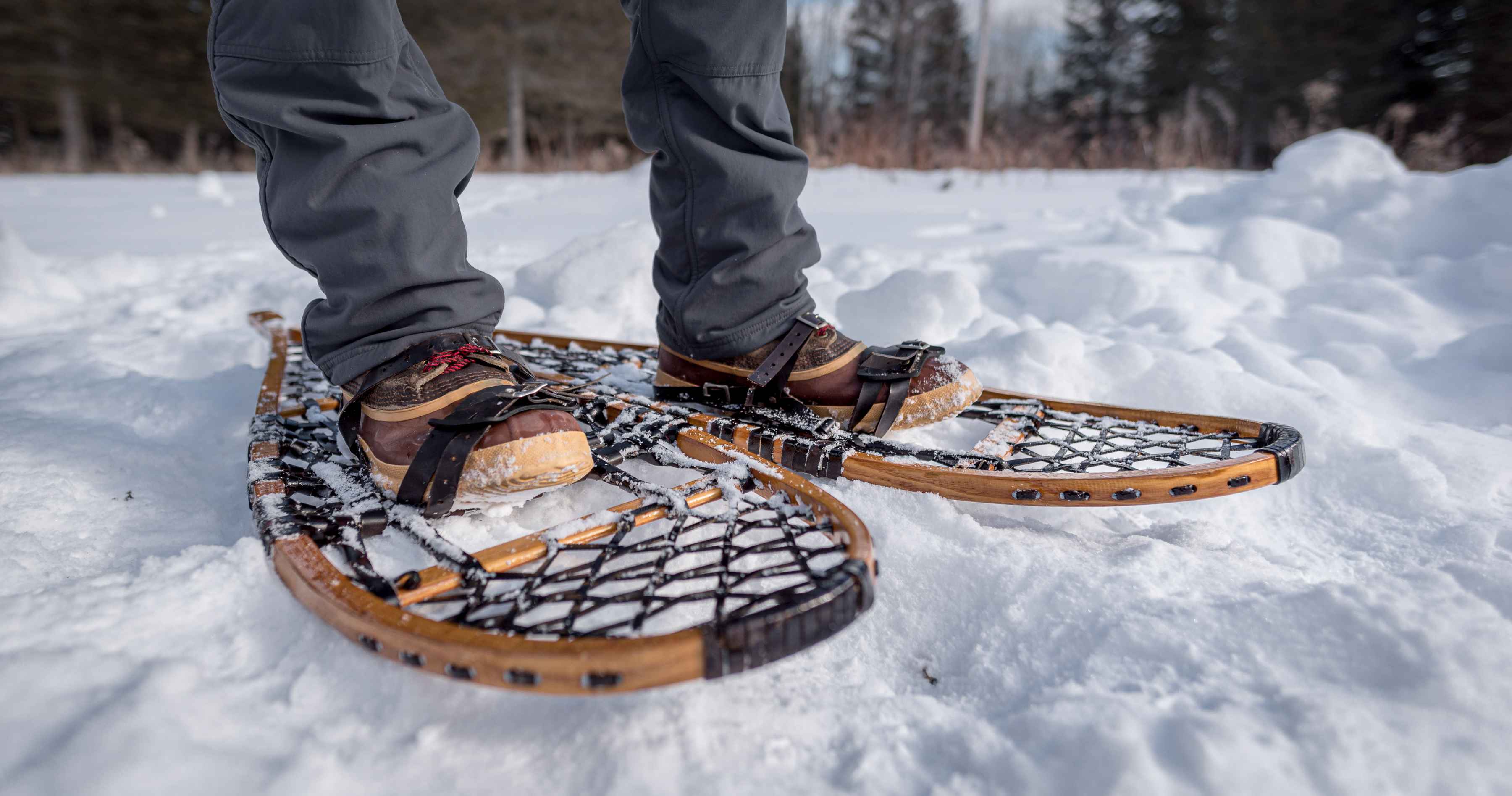 Photo: Tom Hazleton snowshoes