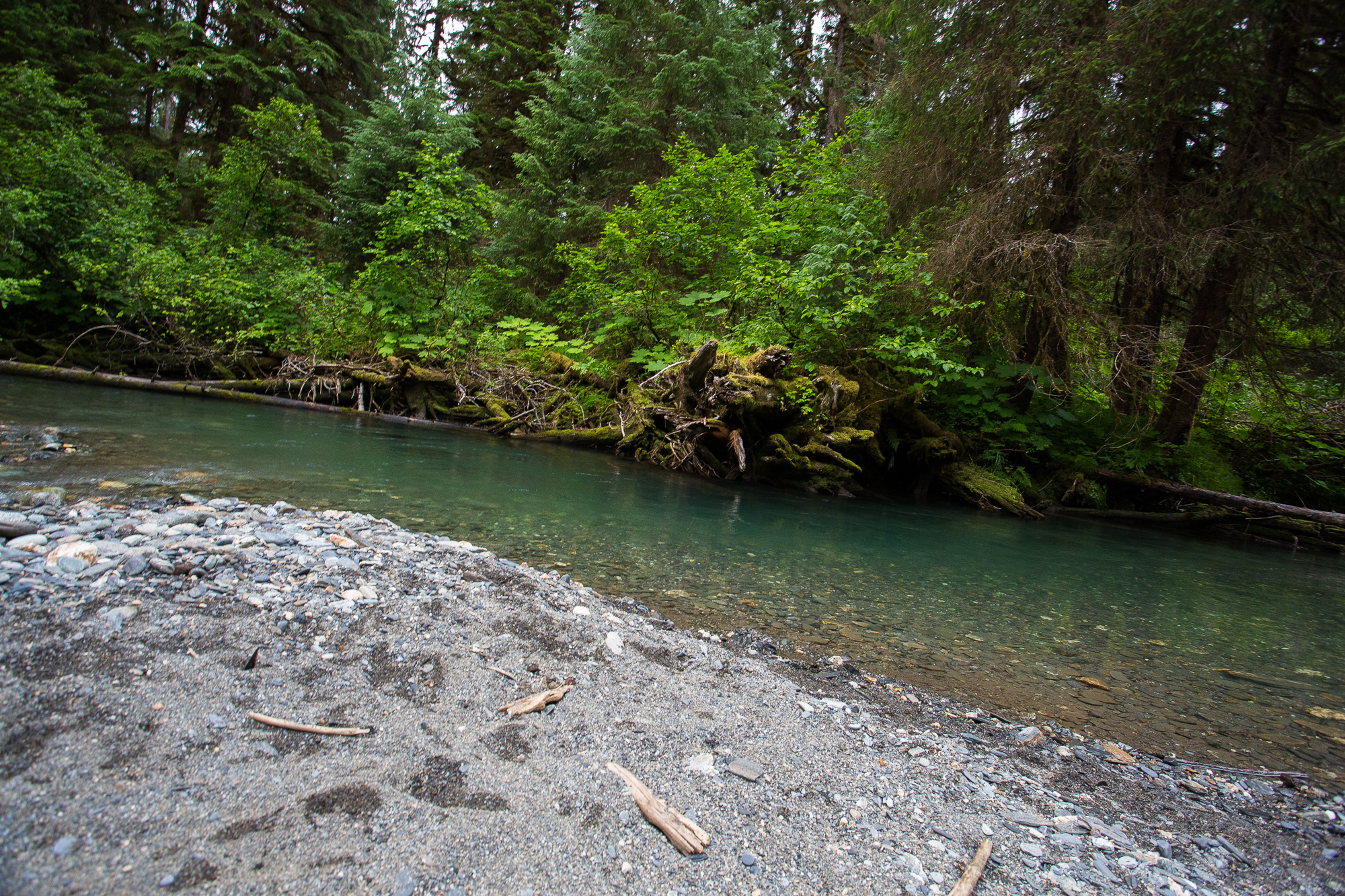 The Other Alaska: Days In the Tongass - Part II | Hatch Magazine - Fly ...