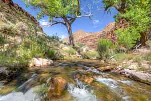 utah green river