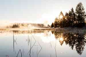 Morning reflections on the Gibbon River in Yellowstone National Park