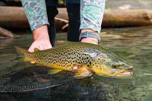 new zealand backcountry fly fishing