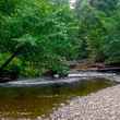 rainforest creek southeast alaska