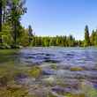 montana trout river