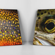 Fly Fish Prints