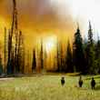 USFS wildfire caribou targhee national forest