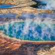 Boardwalks overlooking Grand Prismatic Spring in Yellowstone National Park