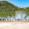 yellowstone boardwalk