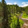 small trout creek idaho