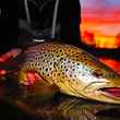 big brown trout at night