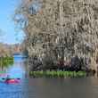 swamp fly fishing