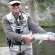 New Zealand rainbow trout.