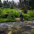Tongass National Forest Stream
