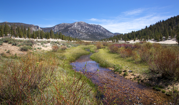 The home of the golden trout. The home of the golden trout.