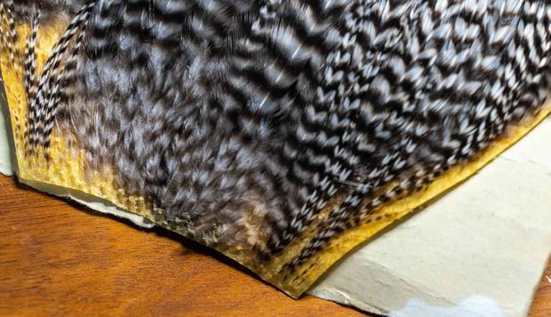 Photo: Spencer Durrant hackle for small flies