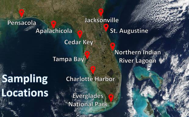 Redfish sampling sites (image courtesy: Bonefish & Tarpon Trust). redfish study sampling sites