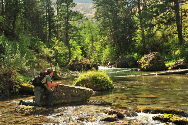 Dry Fly Casting