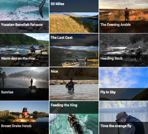 Check out our new page that showcases random entries from our 2013 Photo Contest. Random User Contest Photos
