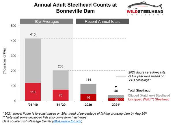 Annual adult steelhead counts at the Bonneville Dam. Annual adult steelhead counts at the Bonneville Dam