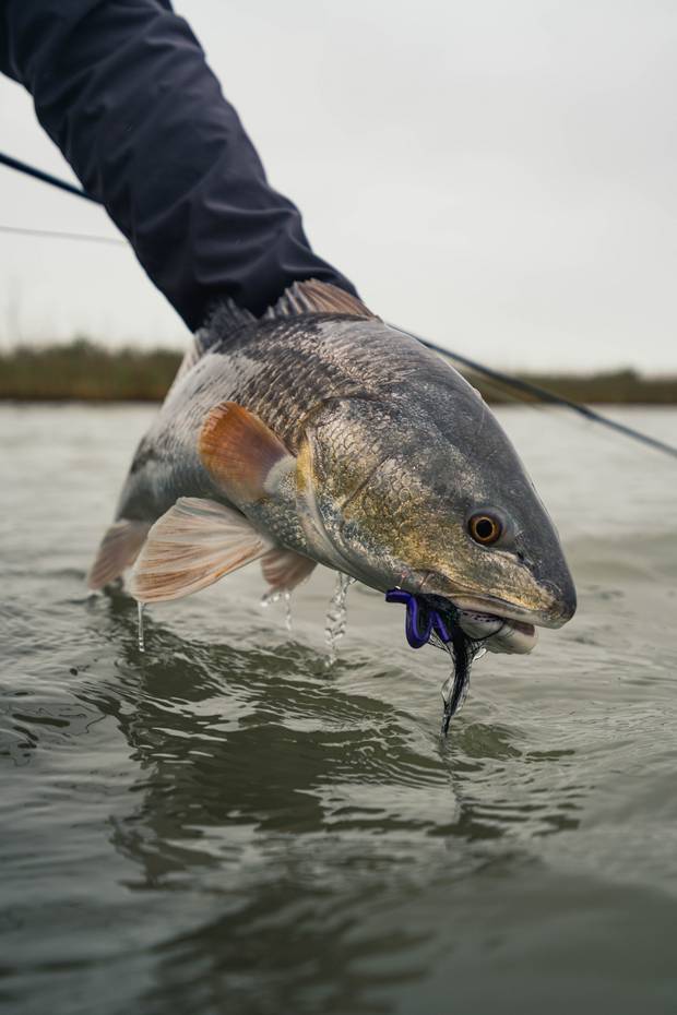 Photo: Pete Kaple. texas redfish bay flats lodge
