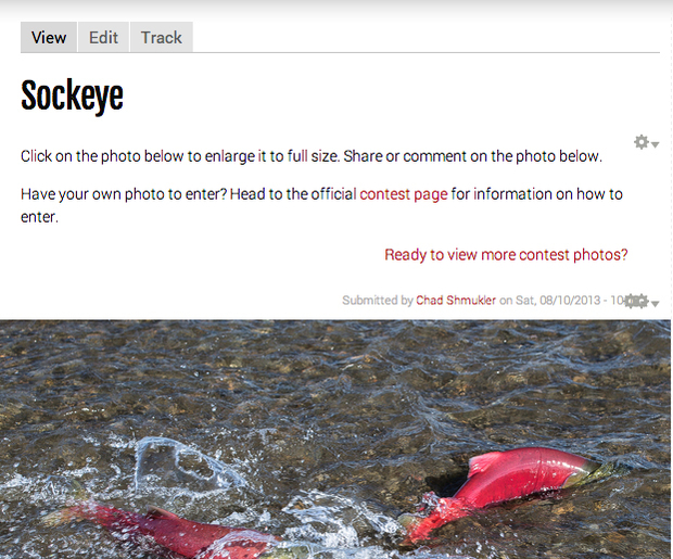Click the 'Edit' tab shown here to revise or replace your contest entries. Entry Example