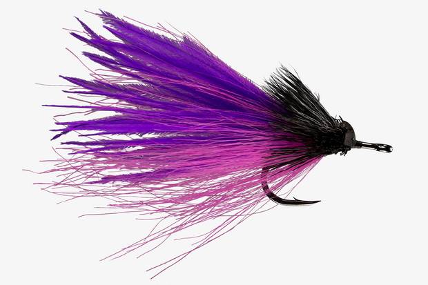 Image: Farbank Enterprises. dread pirate fly