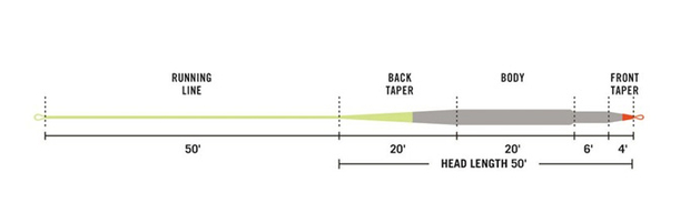 Example line profile (WF7W) for the RIO Indicator II fly line. RIO Indicator II Line Profile
