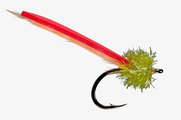 Image: Farbank Enterprises. palolo worm fly