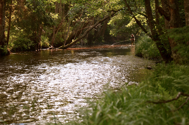 Photo: Andreas Olsson Small Stream Fly Fishing