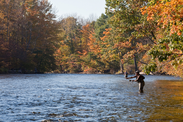 Autumn can be a challenging, but beautiful time to hit the water. Autumn Fly Fishing