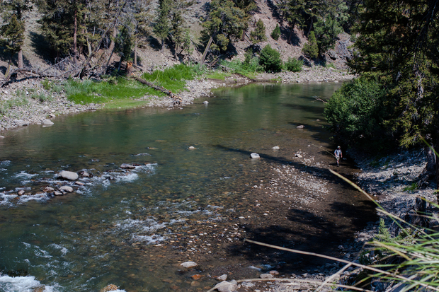 Spending time here will make you a better husband. Chaperoning your wife to Target won't. Yellowstone's Lamar River