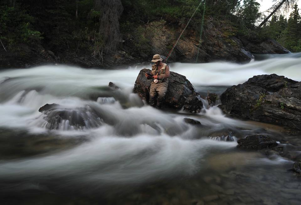 Into the Salmon World - Paul Vecsei