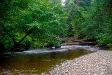 rainforest creek southeast alaska