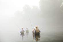 foggy morning fly fishing