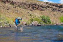 fly fishing netting trout