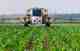corn field spraying glyphosate
